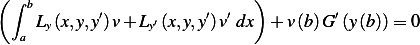 ( ∫ b                         )
     Ly(x,y,y′)v+ Ly′(x,y,y′) v′ dx + v(b)G ′(y (b)) = 0
   a
