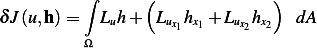           ∫      (              )
δJ (u,h )=   Luh+  Luxhx1+ Luxhx2  dA
          Ω          1      2
